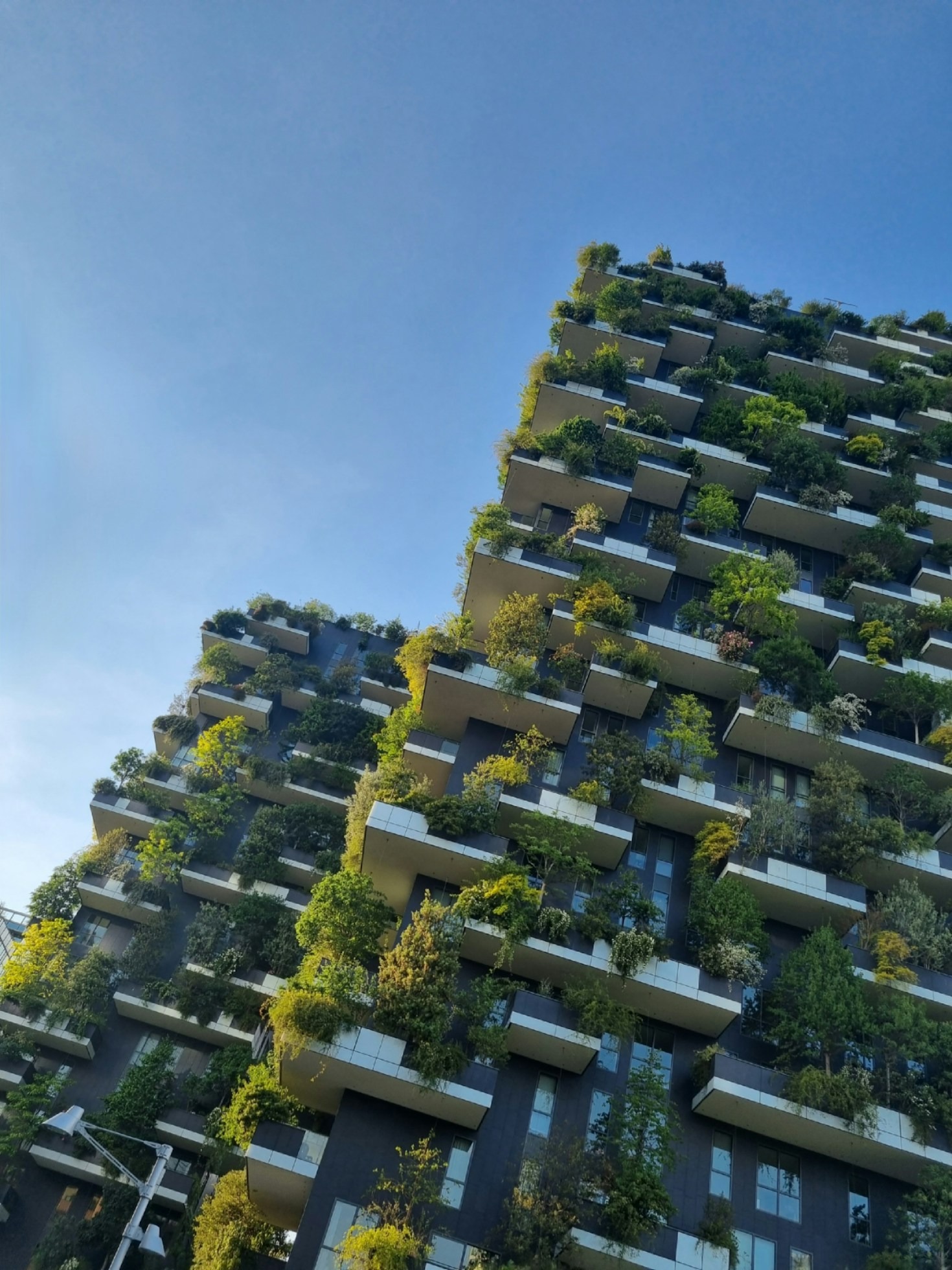 Proyectos arquitectónicos que inspiran comunidades